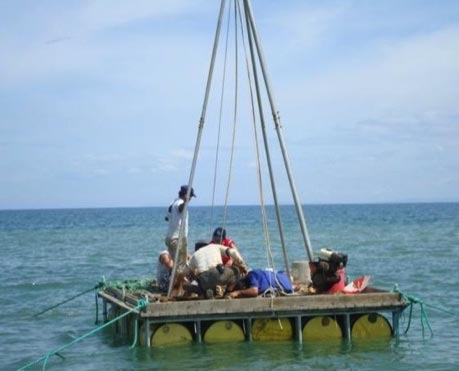 尊龙凯时人生就是博 --官网入口